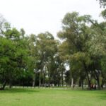 La historia se sienta en la plaza: Fray Mocho, homenaje urbano a un cronista del alma porteña