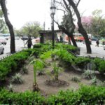 Una plazoleta con memoria: homenaje al Dr. Emir E. Mercader