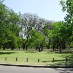 El Parque del Tenis Club Argentino: un oasis deportivo en el corazón de Palermo