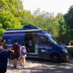Castración y vacunación gratuita para perros y gatos: el servicio veterinario que no se detiene en verano