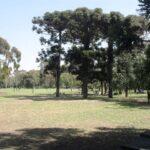 “Plaza Brigadier General Juan Facundo Quiroga: historia, arte y alma verde en el corazón de Palermo”