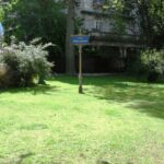 🌳 Plaza Rufino de Elizalde: historia, verde y memoria en el corazón de Palermo
