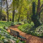 Calor extremo en la Ciudad: 86 refugios climáticos para atravesar la alerta naranja sin riesgos ☀️❄️