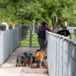 Recoleta renueva sus caniles: más espacio, más seguridad y una convivencia mejorada
