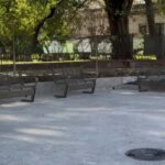 Buenos Aires le suma biodiversidad nativa a sus espacios verdes: la ciencia sale del laboratorio y llega a las plazas