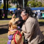 Adopción responsable: habrá jornadas para encontrar un nuevo compañero de cuatro patas en distintos barrios porteños
